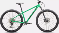 Specialized - ROCKHOPPER EXPERT  GLOSS ELECTRIC GREEN / DARK MOSS GREEN