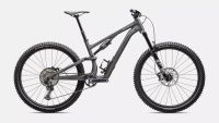 Specialized - Stumpjumper 15 Comp Alloy Gloss Smoke / Cool Grey