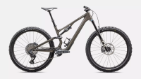 Specialized - Stumpjumper 15 Expert Gloss Gunmetal / White Mountains