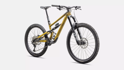 Specialized status 2 170  