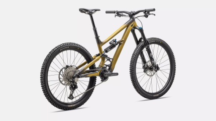 Specialized status 2 170  