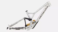 Specialized - DEMO RACE FRAMESET FLKSIL/GUN/BRSH